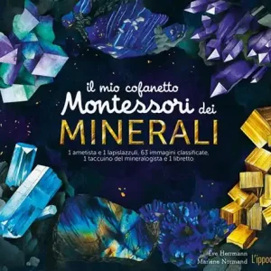 Il mio cofanetto Montessori dei minerali. Ediz. a colori. Con gadget Prezzo Conveniente