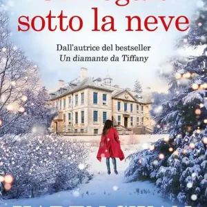 Un regalo sotto la neve Prezzo Ridotto