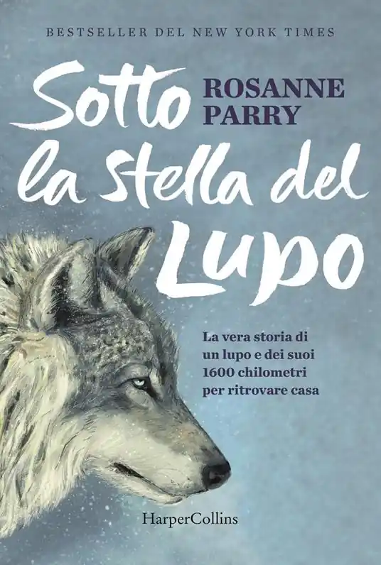 Sotto la stella del lupo Offerta Limitata