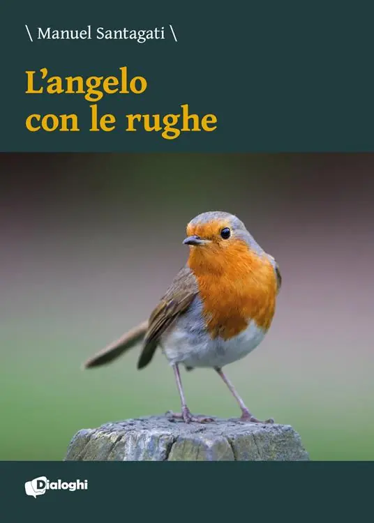Offerta L‘angelo con le rughe