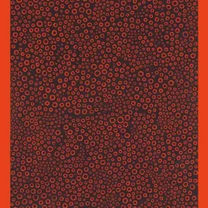 Yayoi Kusama Spedizione Espresso
