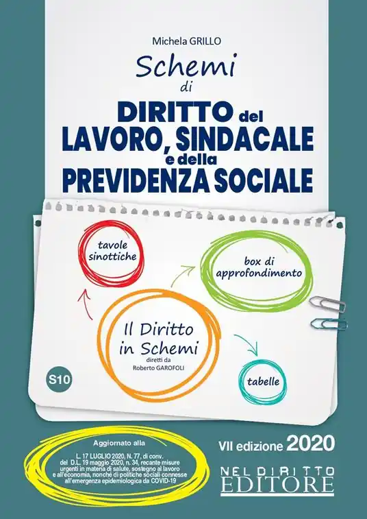 Schemi di diritto del lavoro, sindacale e della previdenza sociale Più Venduto