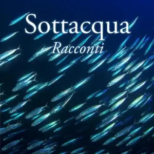 Sottacqua Pagamento Sicuro