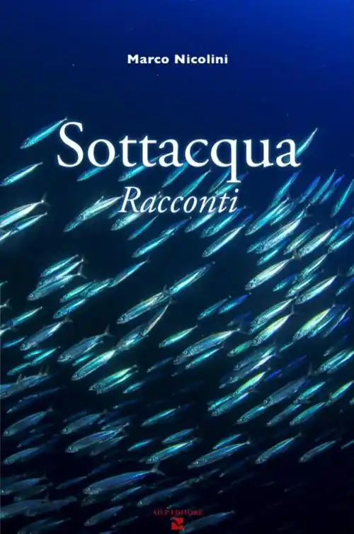 Sottacqua Pagamento Sicuro