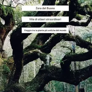 Vite di alberi straordinari. Viaggio tra le piante più antiche del mondo Non Perdere