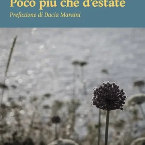 Non Perdere Poco più che d‘estate