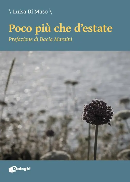 Non Perdere Poco più che d‘estate