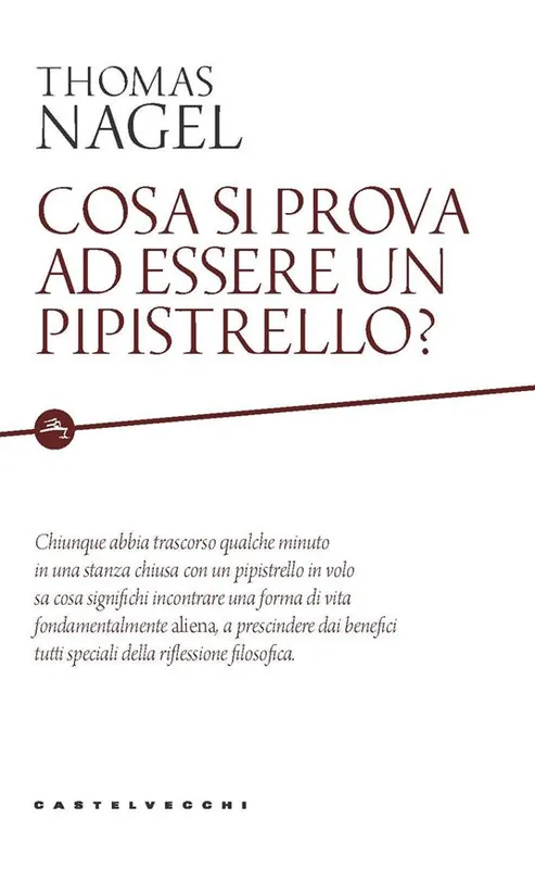 Cosa si prova ad essere un pipistrello? Affare