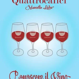 Subito Disponibile Quattrocalici. Conoscere il vino