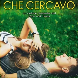 Affare Sei l‘amore che cercavo. The play
