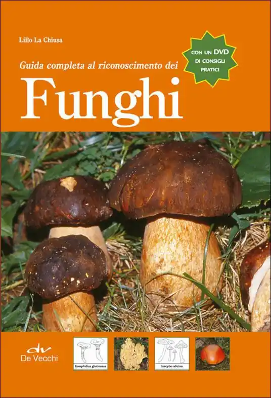 Spedizione Espresso Guida completa al riconoscimento dei funghi