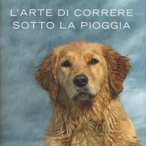 Consegna Rapida L‘arte di correre sotto la pioggia