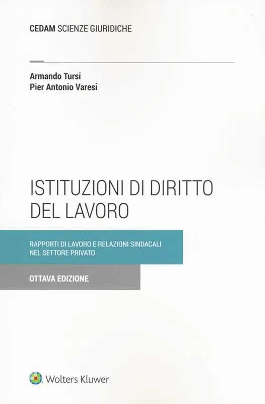 Istituzioni di diritto del lavoro. Rapporti di lavoro e relazioni sindacali nel settore privato Prezzo Ridotto
