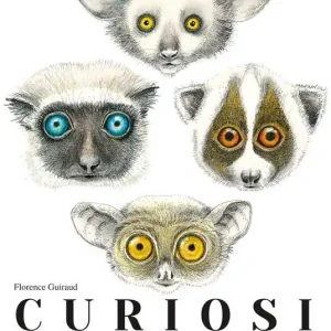Ultima Occasione Curiosi mammiferi. Ediz. a colori