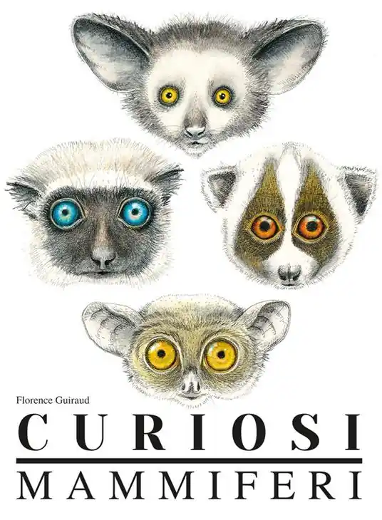Ultima Occasione Curiosi mammiferi. Ediz. a colori
