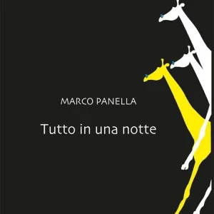 Ultimissimo Modello Tutto in una notte