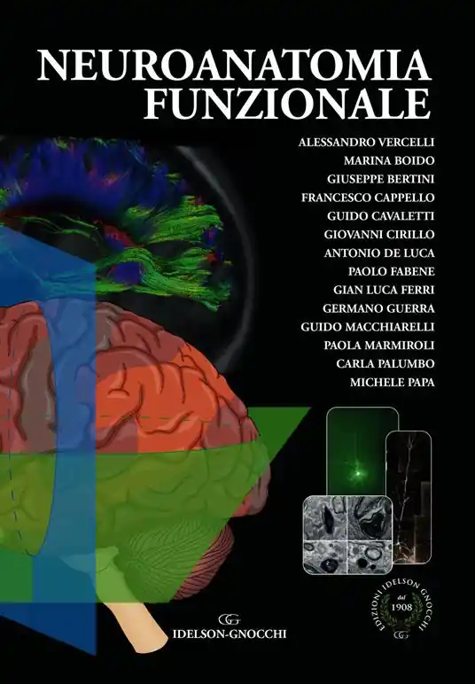 Neuroanatomia funzionale Di Tendenza