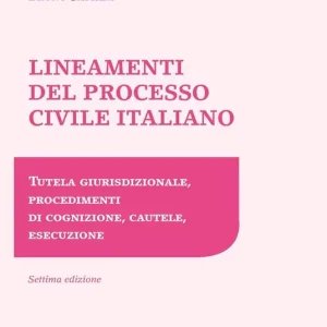 Lineamenti del processo civile italiano. Tutela giurisdizionale, procedimenti di cognizione, cautele, esecuzione Affare