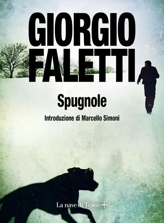 Spedito Oggi Spugnole