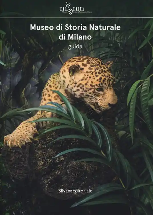 Subito Disponibile Museo di storia naturale di Milano