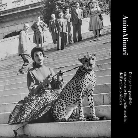 AnimAlinari. Dialogo im-possibile attraverso le fotografie storiche dell‘Archivio Alinari. Ediz. italiana e inglese Bestseller