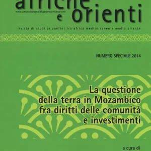 Bestseller Afriche e Orienti (2014). Vol. 1 La questione della terra in Mozambico fra diritti della comunità e investimenti