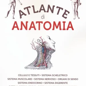 Atlante di anatomia. Ediz. a colori Occasione