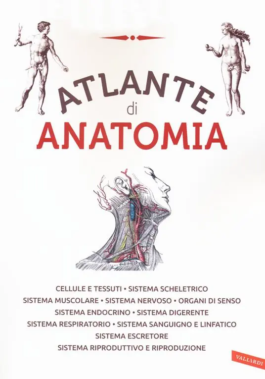 Atlante di anatomia. Ediz. a colori Occasione