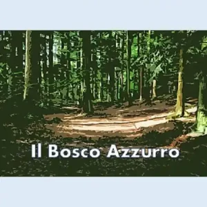 Vendita Finale Il bosco azzurro