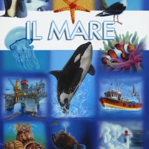 Prezzo Conveniente Il mare. Ediz. a colori