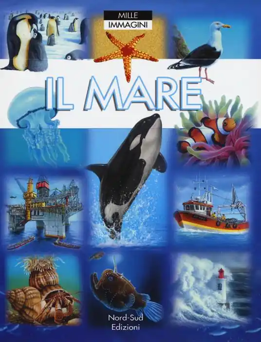 Prezzo Conveniente Il mare. Ediz. a colori