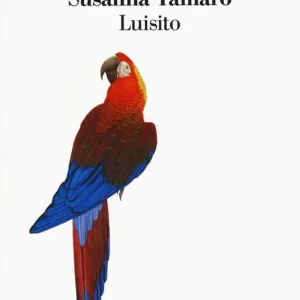Luisito Must-Have