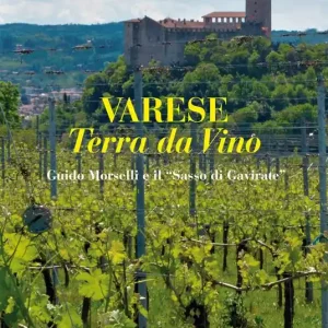 Varese terra da vino. Guido Morselli e il «Sasso di Gavirate» Ultime Pezzi