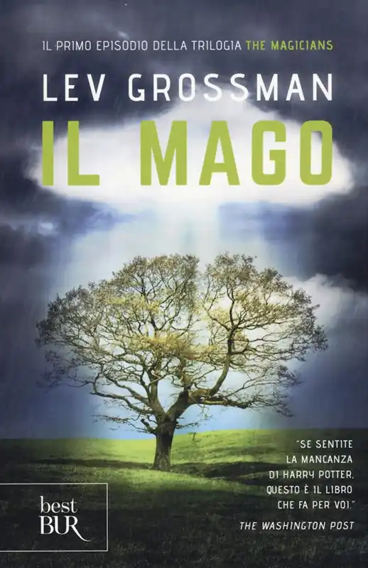 Professionale Il mago