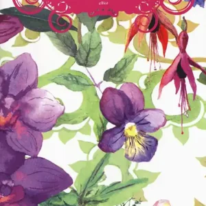 Il giardino dei colori Occasione