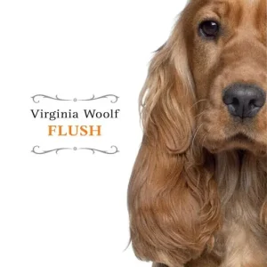 Flush Pagamento Sicuro