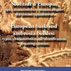 Subito Disponibile Scolitidi d’Europa tipi, caratteristiche e riconoscimento dei sistemi riproduttivi-European bark and ambrosia beetles types, characteristics and identification of mating systems. Ediz. bilingue