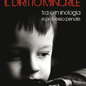 Il diritto minorile. Tra criminologia e processo penale Bestseller