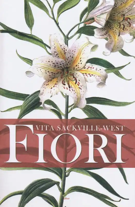 Fiori Occasione Imperdibile