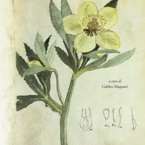 Sismondi e la «Botanique de Pescia». Ediz. illustrata Offerta Speciale
