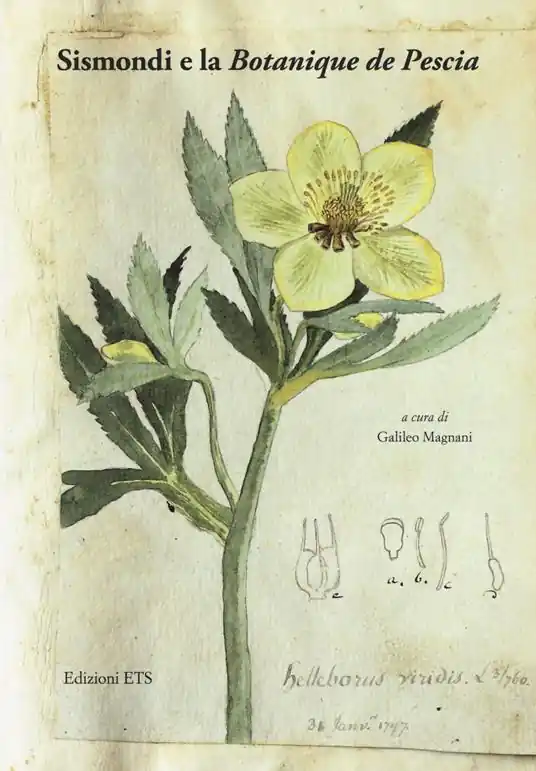 Sismondi e la «Botanique de Pescia». Ediz. illustrata Offerta Speciale