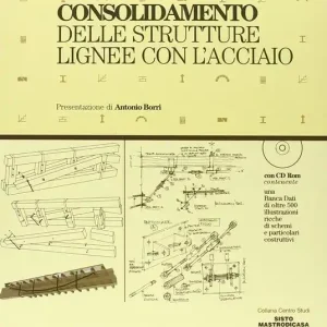 Consolidamento delle strutture lignee con l‘acciaio. Con CD-ROM Spedito Oggi