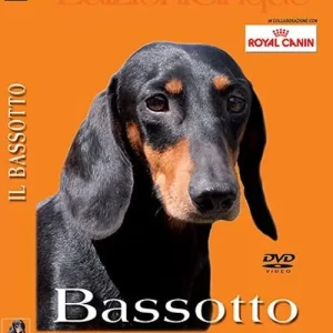 Offerta Lampo Bassotti. DVD