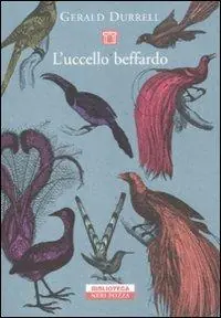 Nuova Collezione L‘uccello beffardo