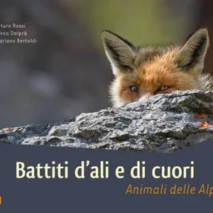 Battiti d‘ali e di cuori. Animali delle Dolomiti. Ediz. illustrata Saldi