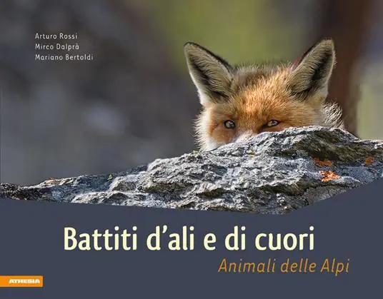 Battiti d‘ali e di cuori. Animali delle Dolomiti. Ediz. illustrata Saldi