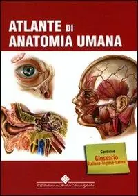 Più Venduto Atlante di anatomia umana. Ediz. illustrata