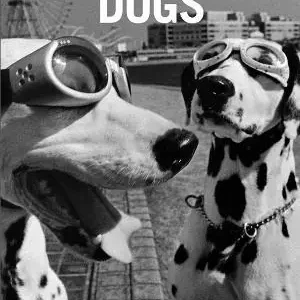 Elliot Erwitt‘s dogs Offerta Del Giorno