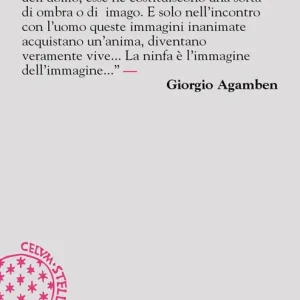 Ninfe Di Tendenza