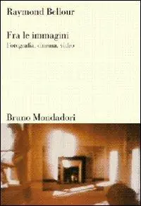 Fra le immagini. Fotografia, cinema, video. Ediz. illustrata Ultime Pezzi